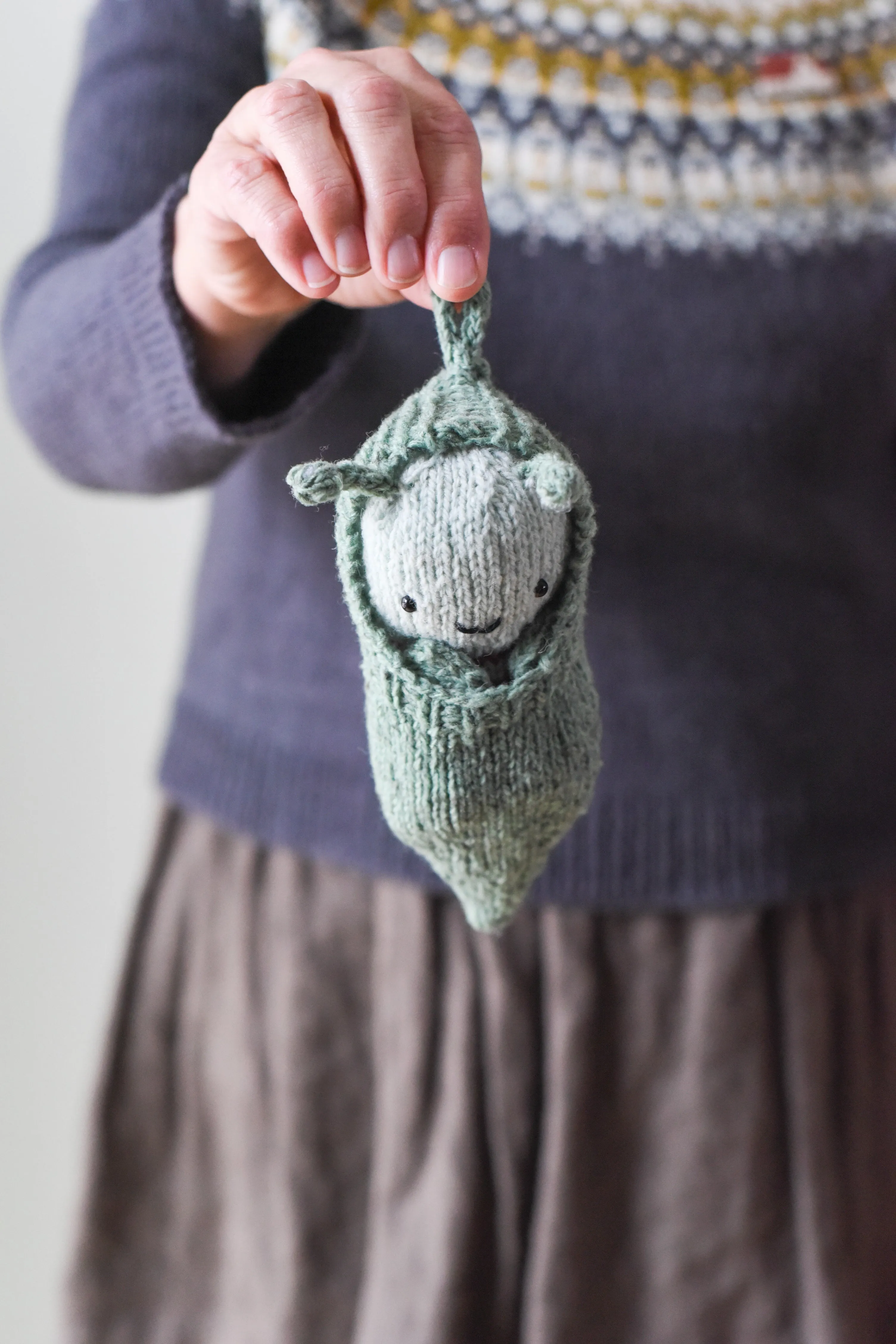 Butterfly & Cocoon Kit