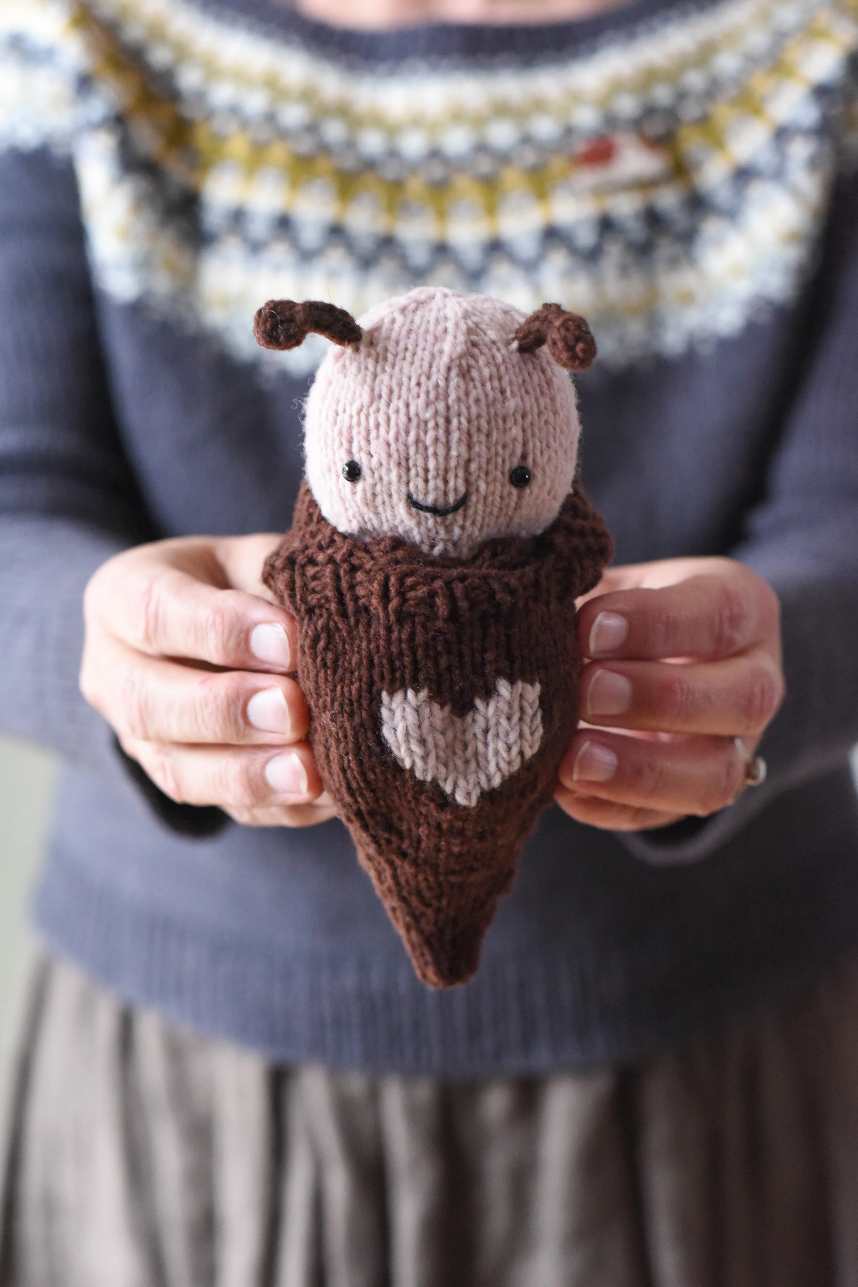 Butterfly & Cocoon Kit