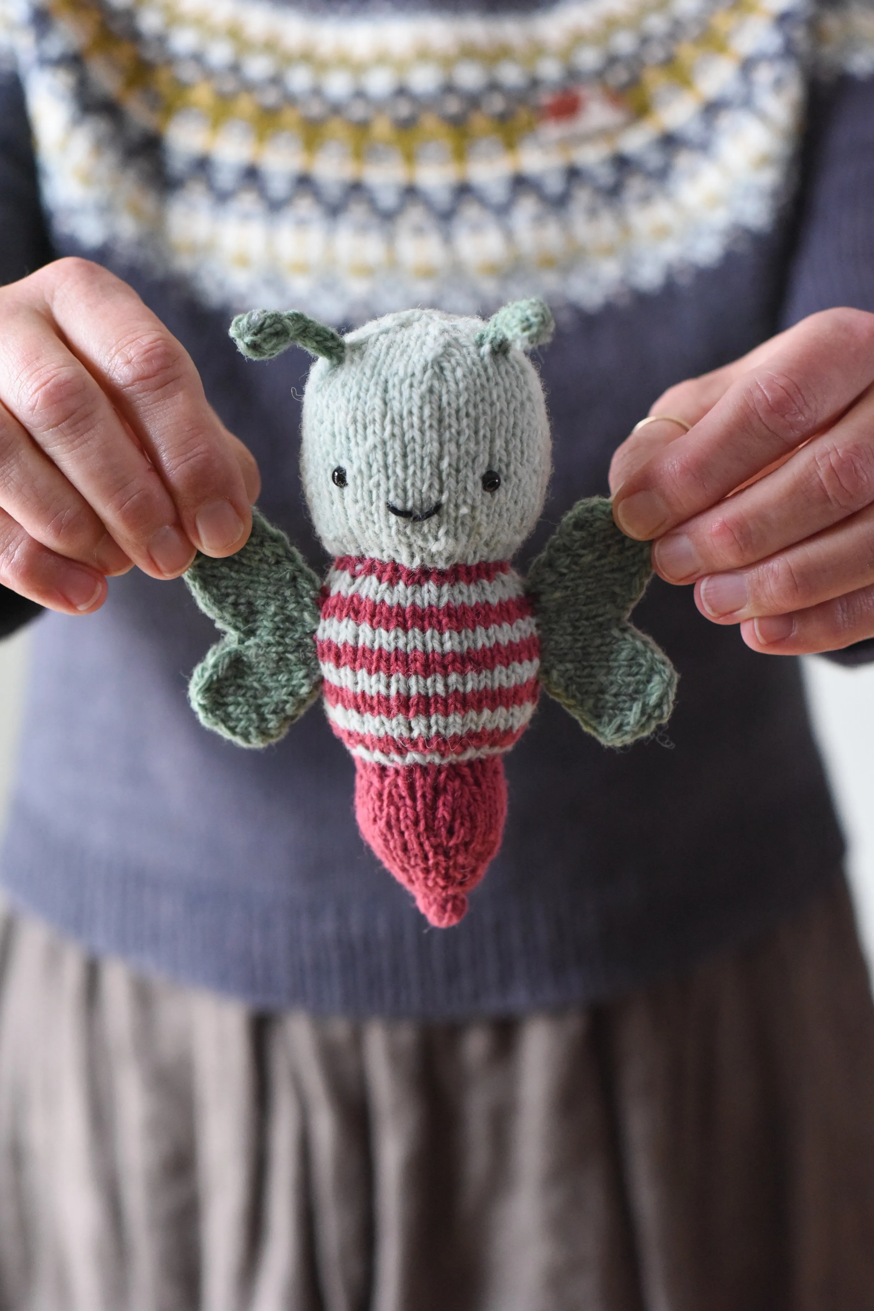 Butterfly & Cocoon Kit