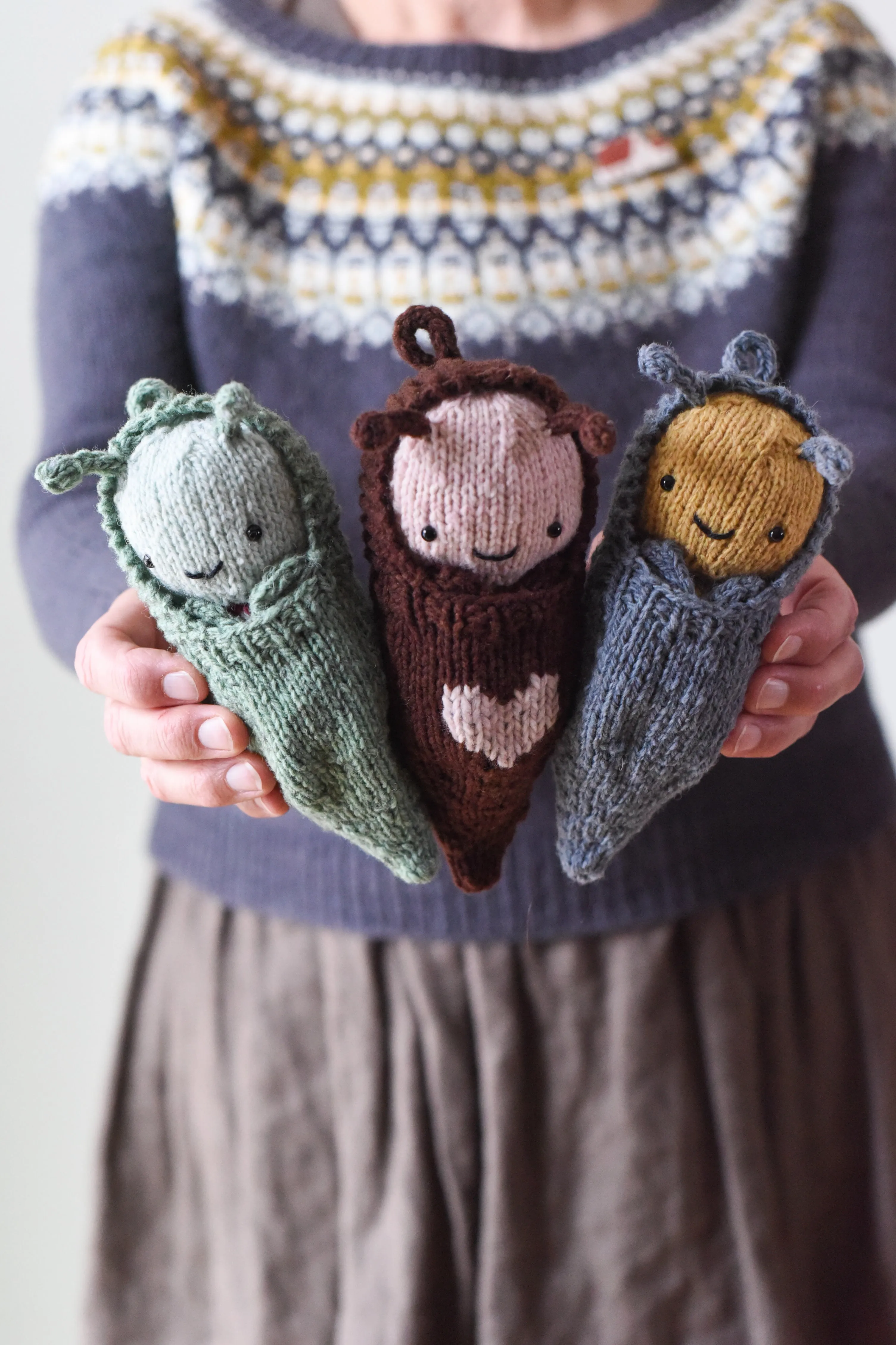 Butterfly & Cocoon Kit