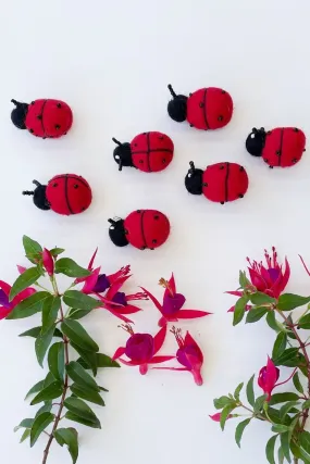 Felt Ladybeetles - Loose